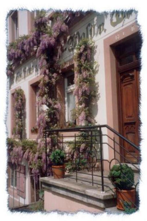 Gasthaus Neupert Lemberg Exteriér fotografie